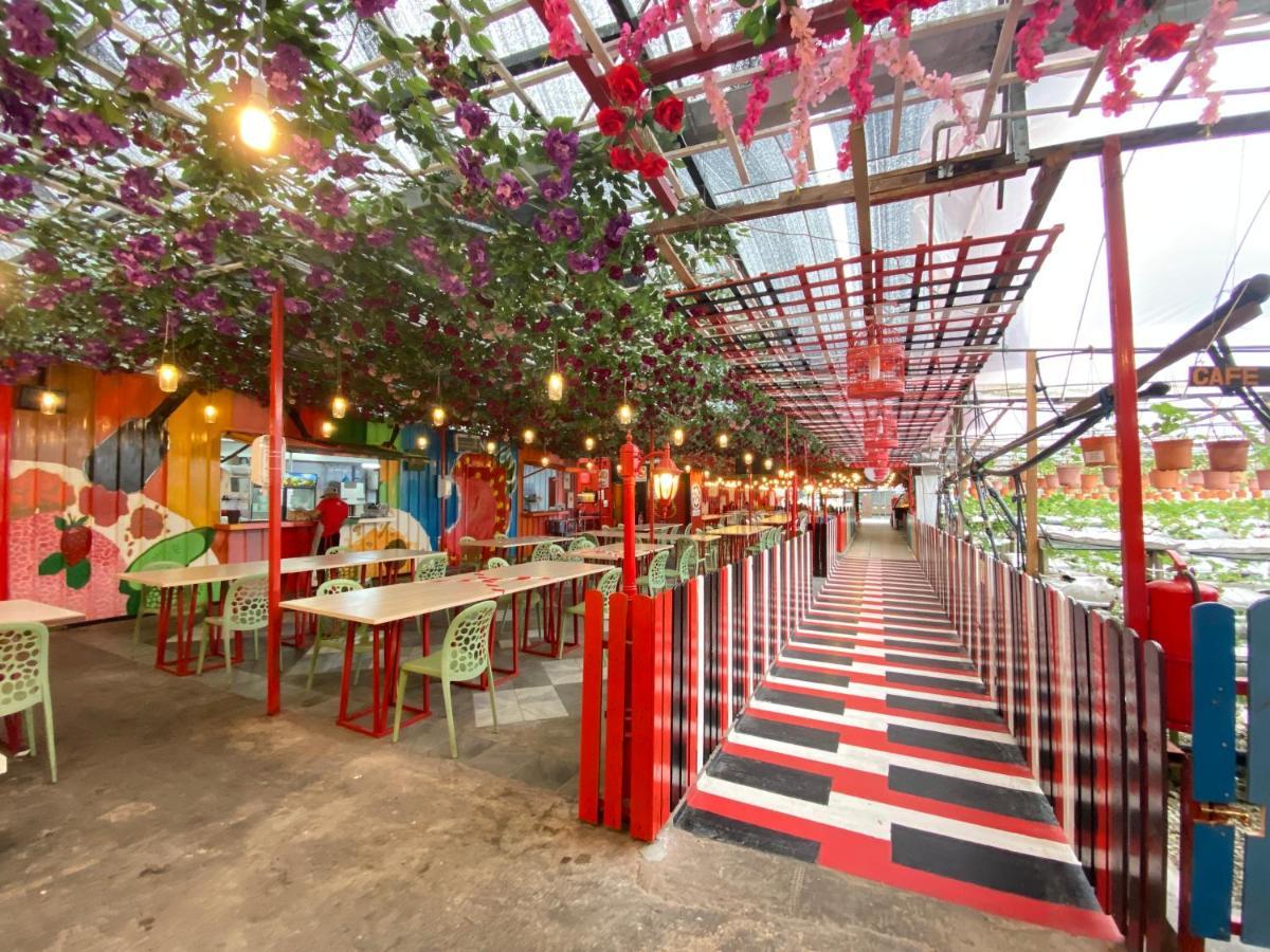 Aiza Homestay Opposite Abang Strawberry Taman Sedia Тана Рата Екстериор снимка