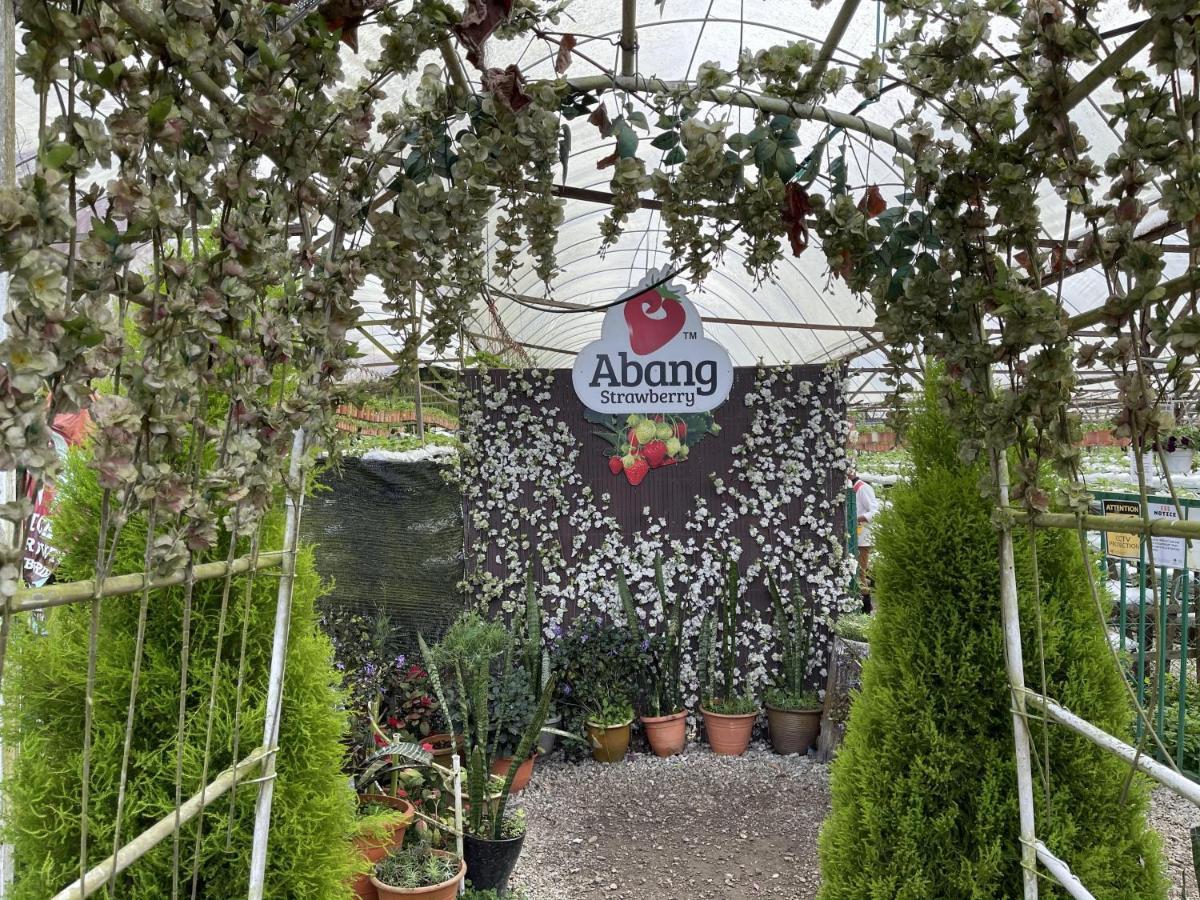 Aiza Homestay Opposite Abang Strawberry Taman Sedia Тана Рата Екстериор снимка